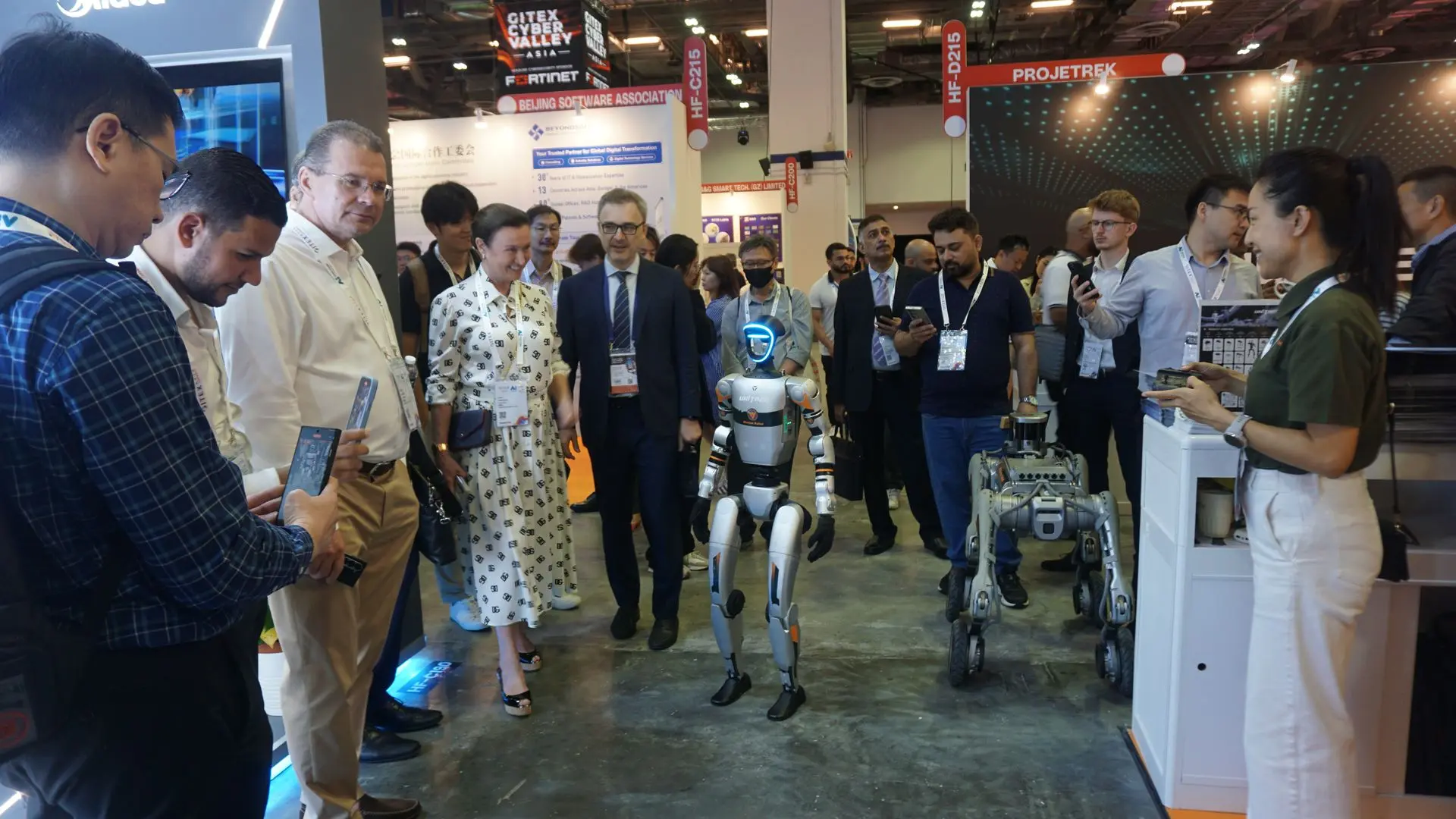 Humanoid Event Robots